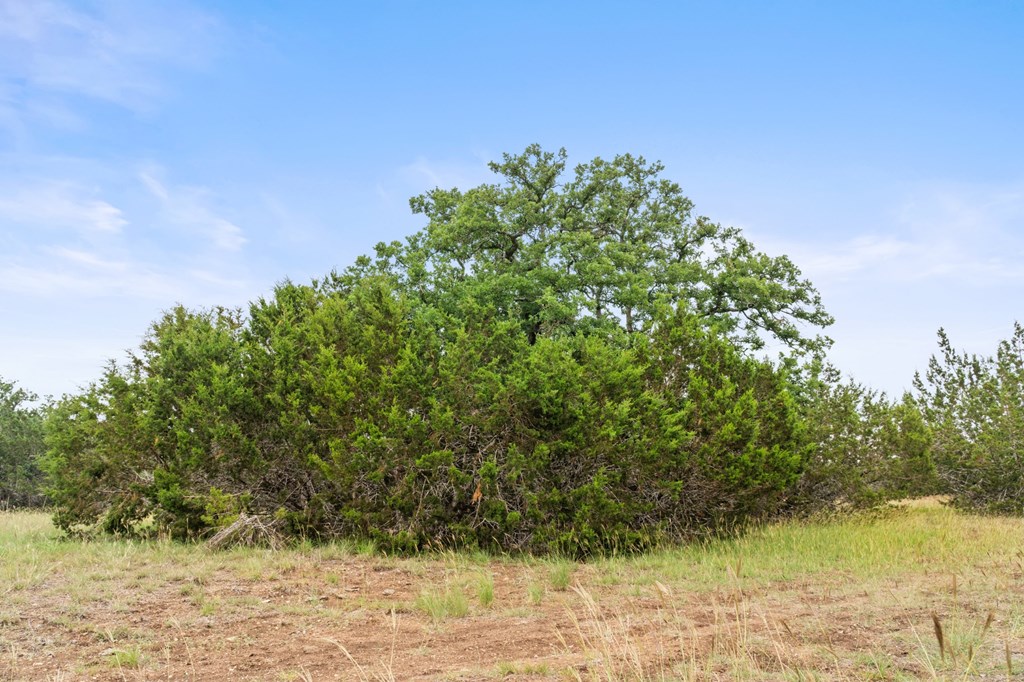 5 Mary Lane, Unit 5 Harper, TX 78631 - Photo 15 of 30 a view of a lake view