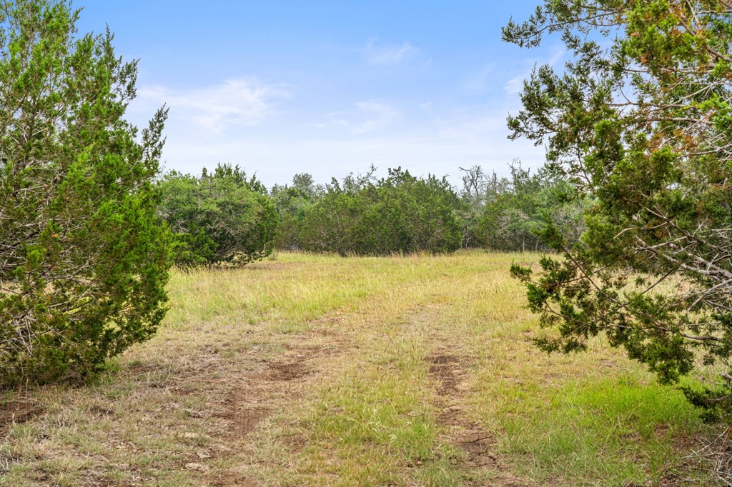 5 Mary Lane, Unit 5 Harper, TX 78631 - Photo 16 of 30 a view of lake with green space