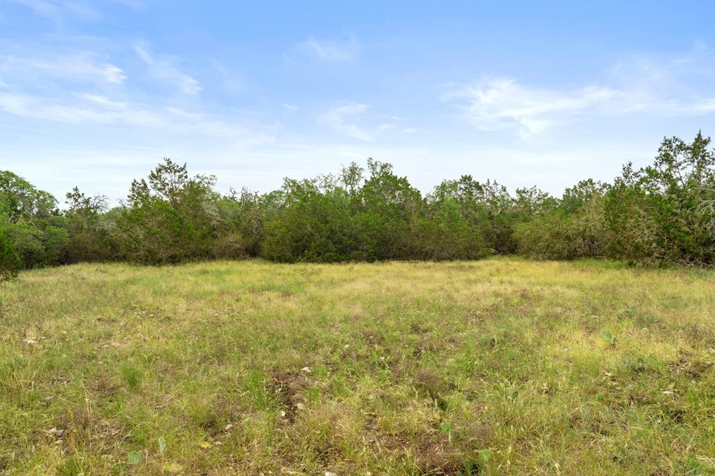 5 Mary Lane, Unit 5 Harper, TX 78631 - Photo 17 of 30