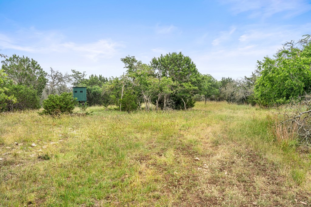 5 Mary Lane, Unit 5 Harper, TX 78631 - Photo 18 of 30 a view of a lake view