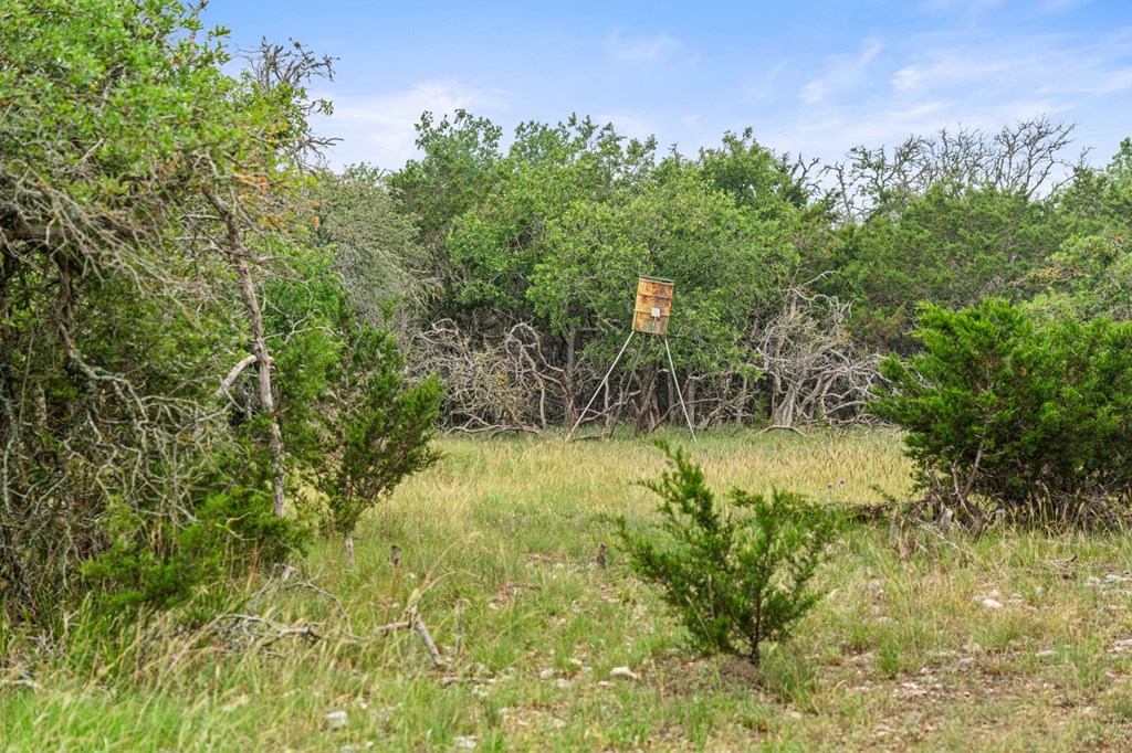 5 Mary Lane, Unit 5 Harper, TX 78631 - Photo 19 of 30 a view of a garden