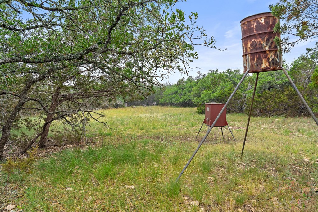 5 Mary Lane, Unit 5 Harper, TX 78631 - Photo 2 of 30 a view of an outdoor space and yard