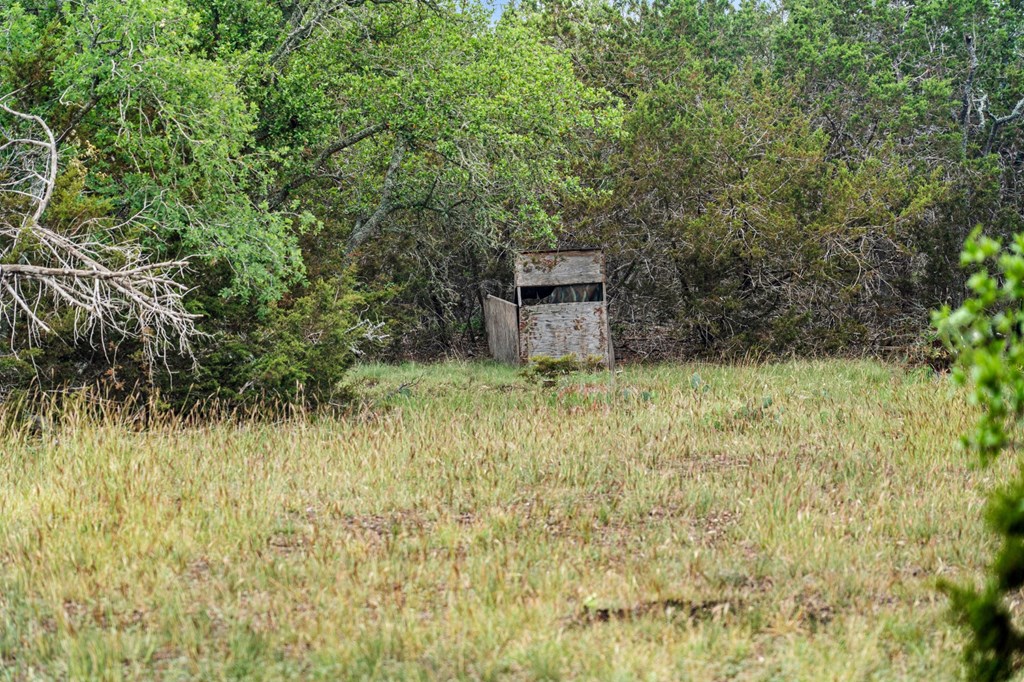 5 Mary Lane, Unit 5 Harper, TX 78631 - Photo 21 of 30 a backyard of a house with large trees and plants