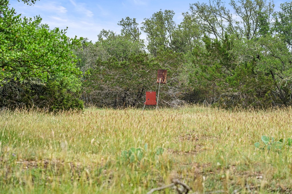 5 Mary Lane, Unit 5 Harper, TX 78631 - Photo 22 of 30 a view of outdoor space and garden