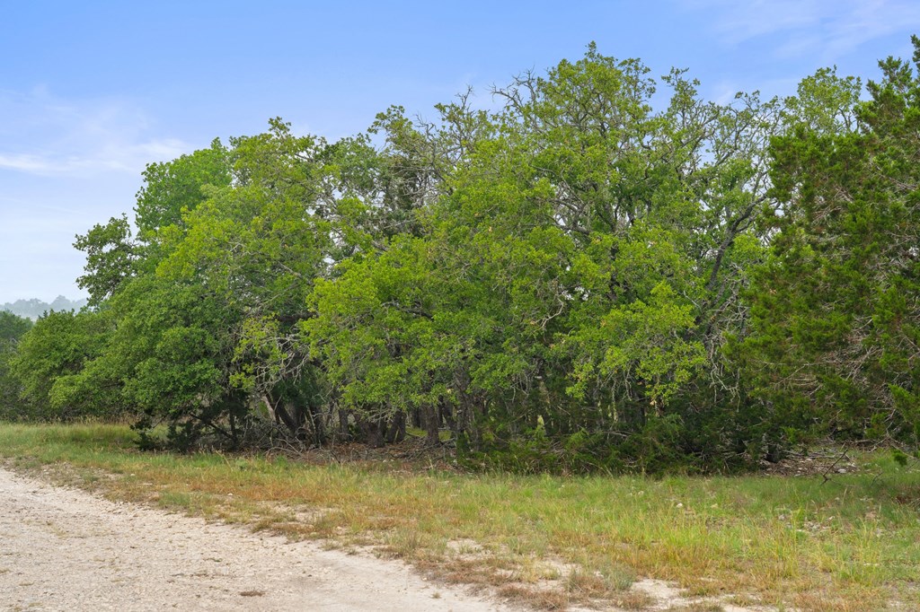 5 Mary Lane, Unit 5 Harper, TX 78631 - Photo 23 of 30