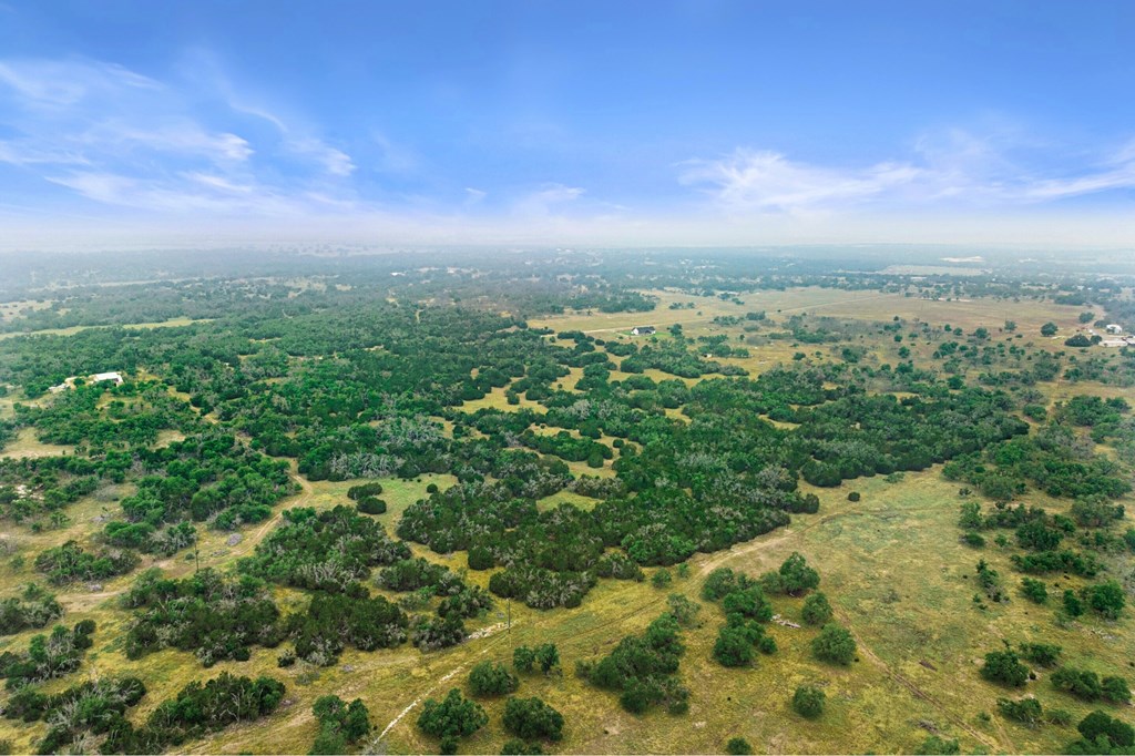 5 Mary Lane, Unit 5 Harper, TX 78631 - Photo 26 of 30 an aerial view of residential houses with outdoor space and trees