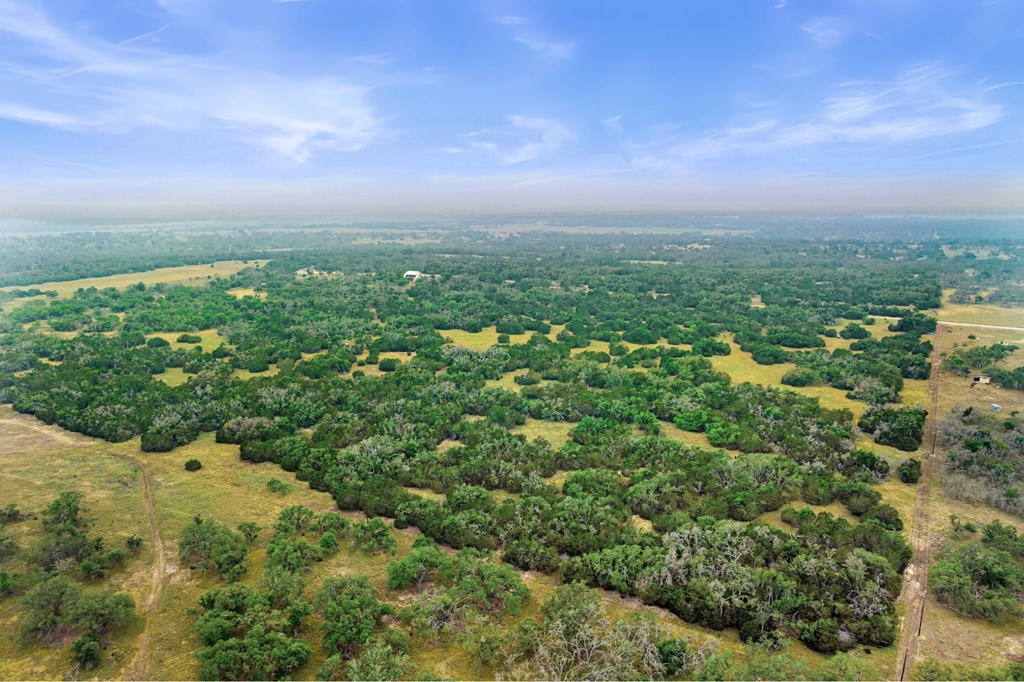 5 Mary Lane, Unit 5 Harper, TX 78631 - Photo 27 of 30 an aerial view of residential houses with outdoor space and trees