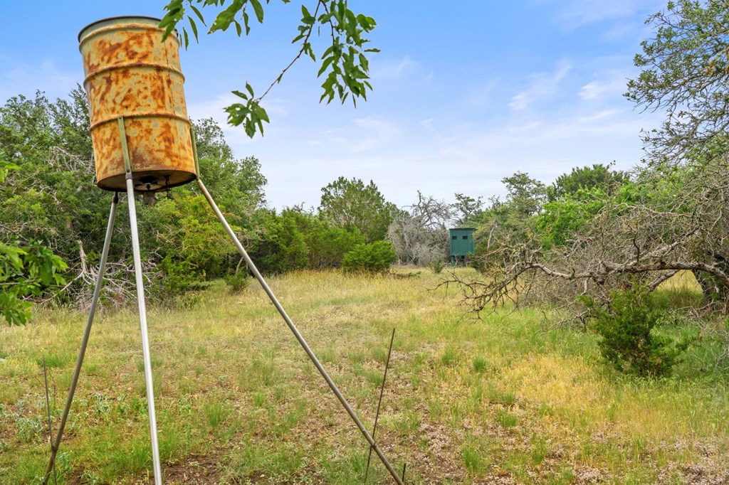 5 Mary Lane, Unit 5 Harper, TX 78631 - Photo 5 of 30