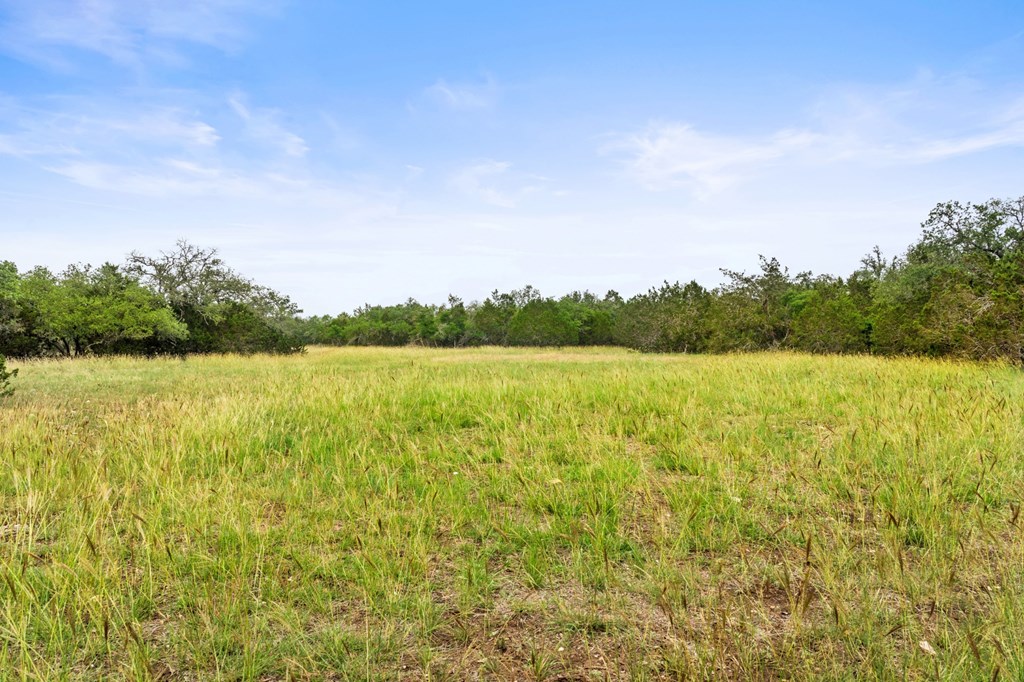 5 Mary Lane, Unit 5 Harper, TX 78631 - Photo 7 of 30 a view of a lake view