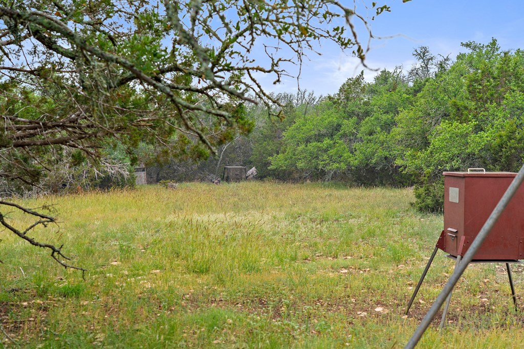 5 Mary Lane, Unit 5 Harper, TX 78631 - Photo 8 of 30