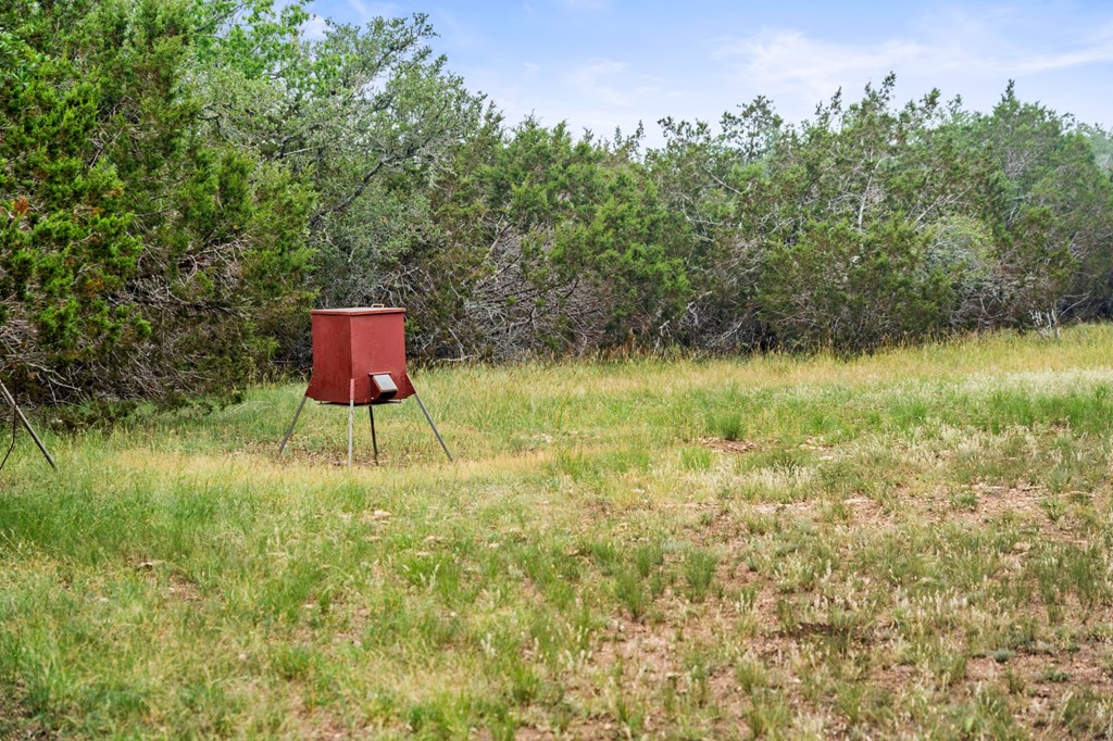 5 Mary Lane, Unit 5 Harper, TX 78631 - Photo 9 of 30 a backyard of a house with lots of green space and plants