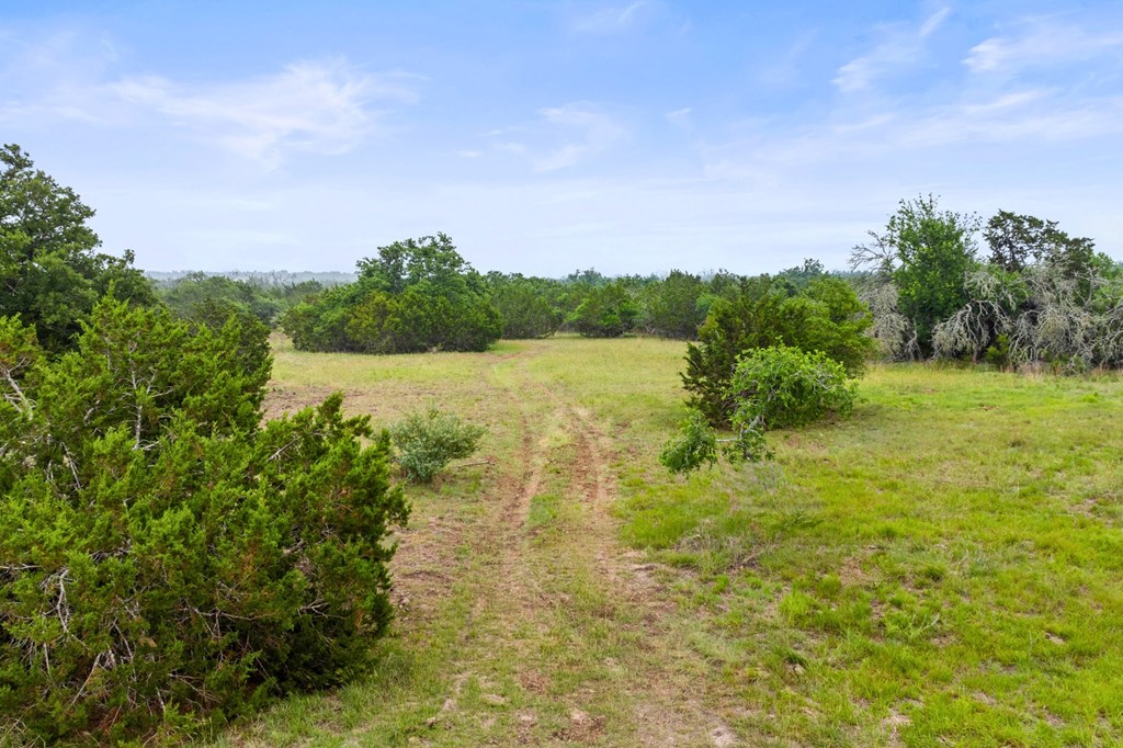 5 Mary Lane, Unit 5 Harper, TX 78631 - Photo 10 of 30 a view of lake with green space