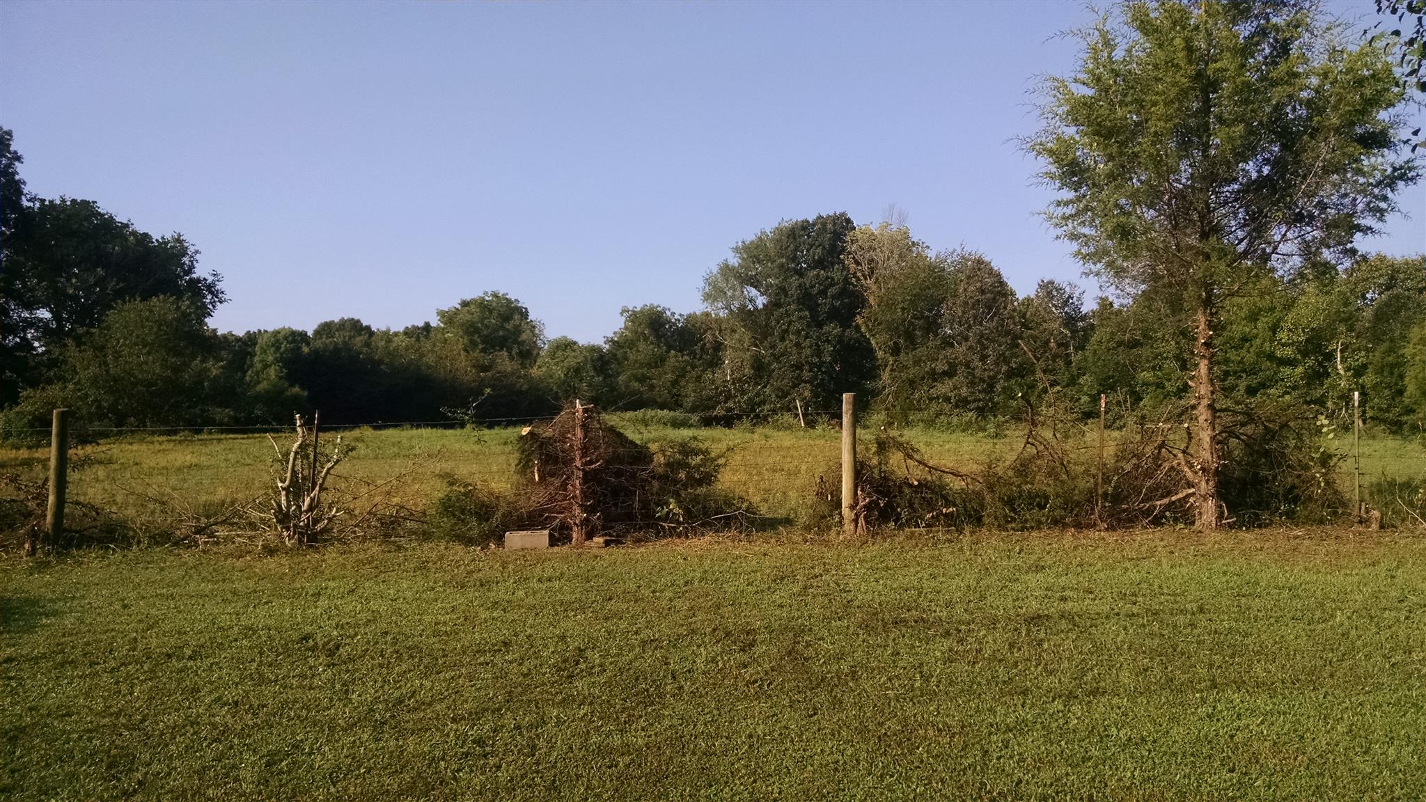 8647 Richards Road Lyles, TN 37098 - Photo 12 of 29 a backyard of a house with lots of green space