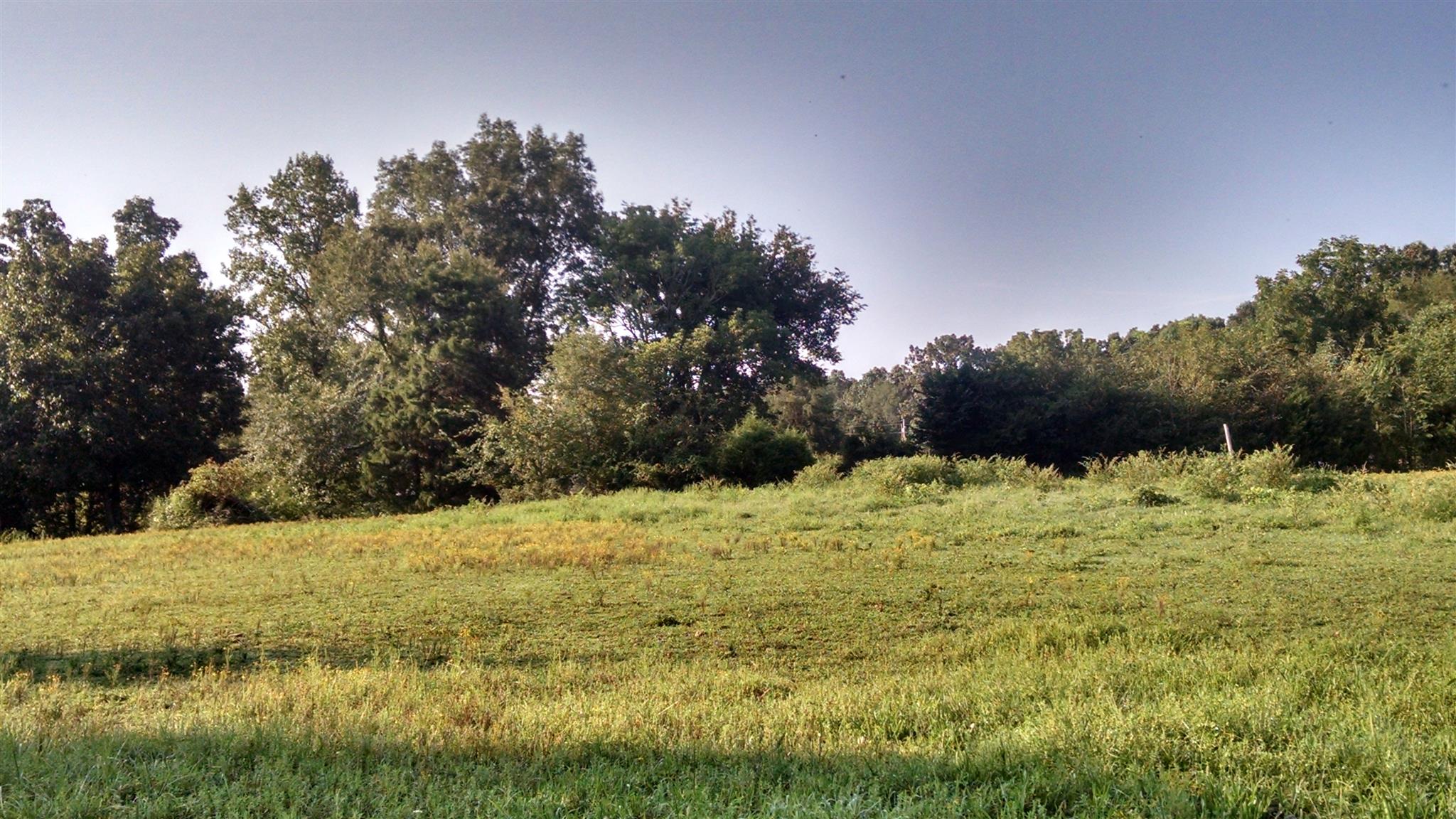 8647 Richards Road Lyles, TN 37098 - Photo 13 of 29 a view of a large yard with trees