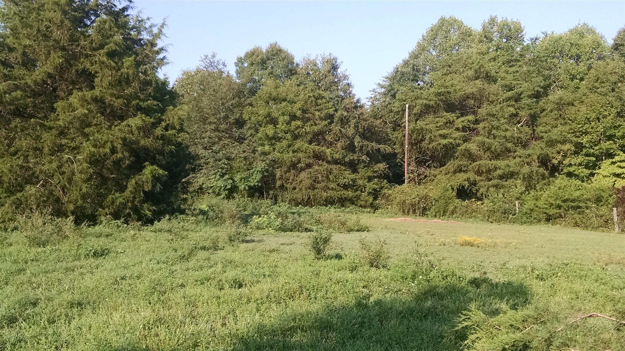 8647 Richards Road Lyles, TN 37098 - Photo 14 of 29 a view of a field with a tree