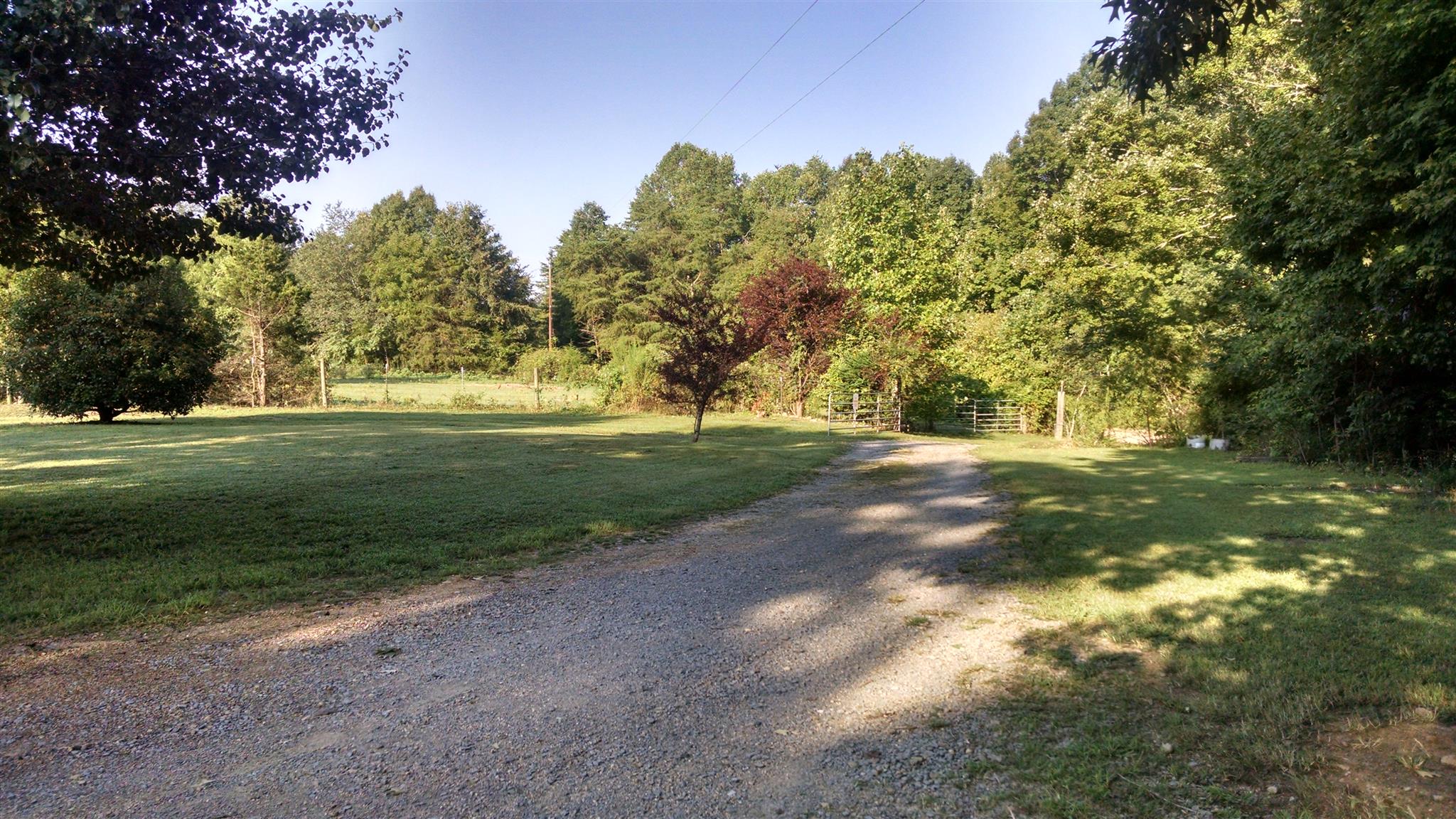8647 Richards Road Lyles, TN 37098 - Photo 15 of 29 a view of a trees with a yard