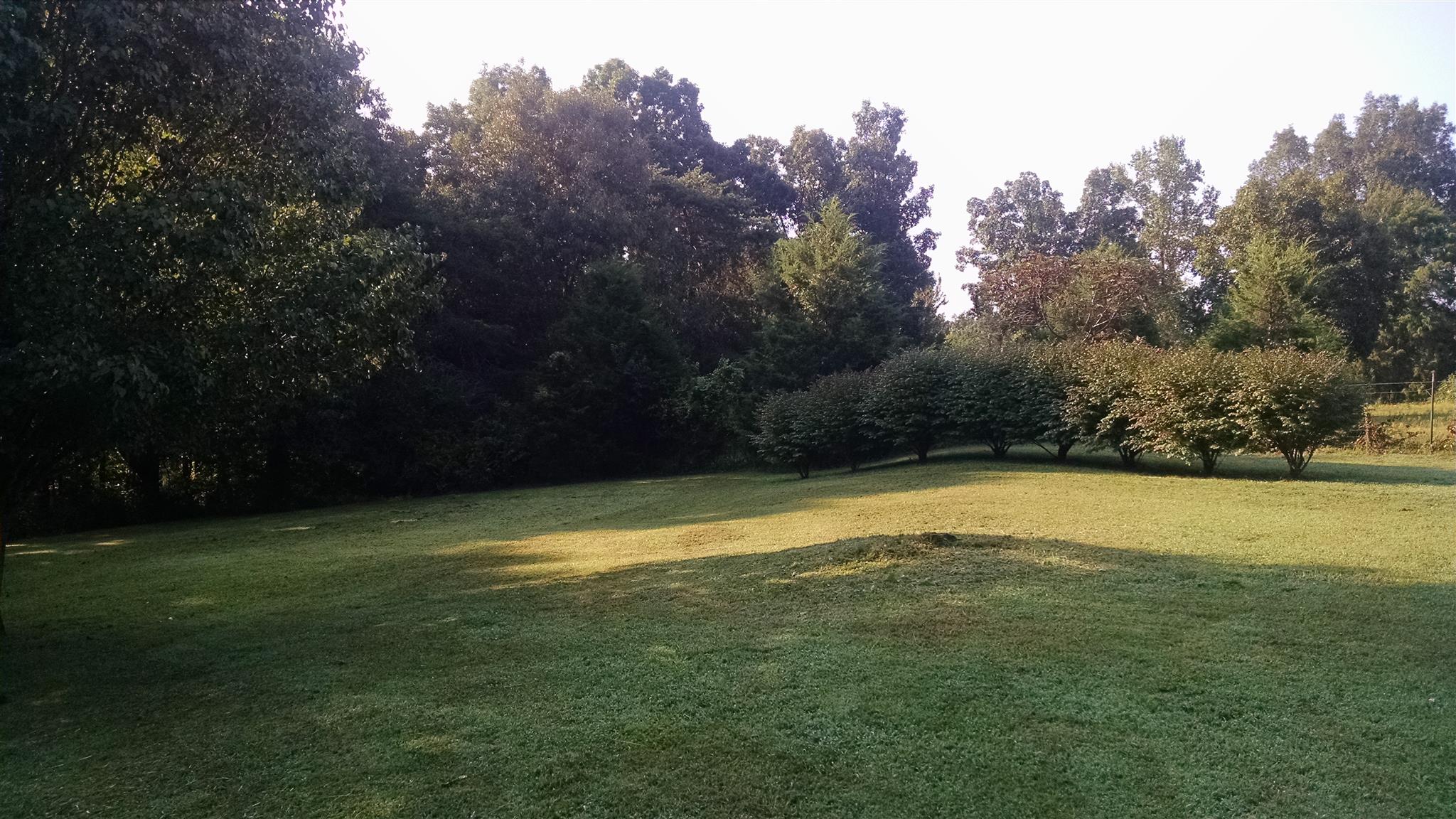 8647 Richards Road Lyles, TN 37098 - Photo 3 of 29 a view of a swimming pool with an outdoor space and seating area