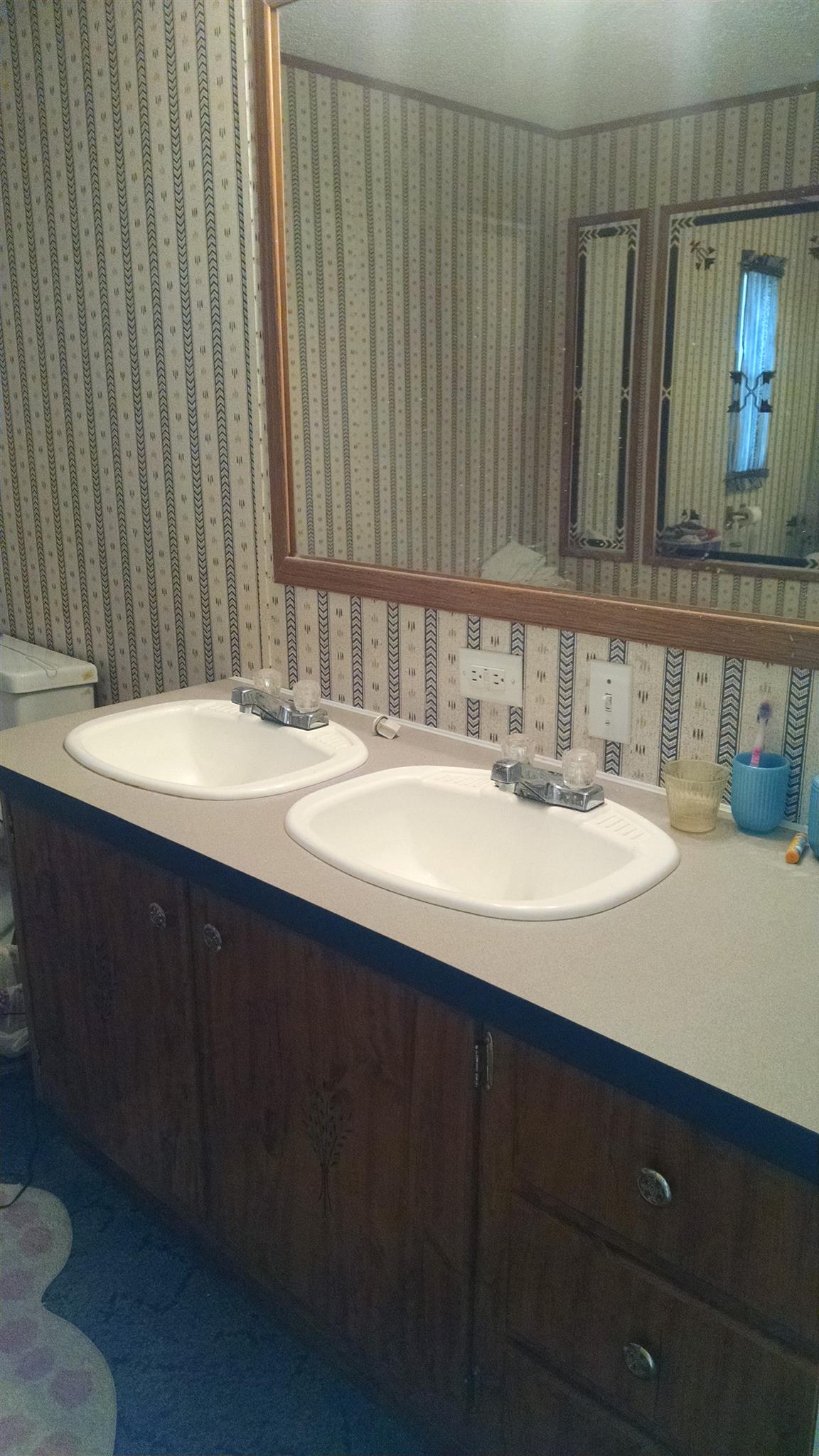 8647 Richards Road Lyles, TN 37098 - Photo 26 of 29 a bathroom with a sink and a mirror