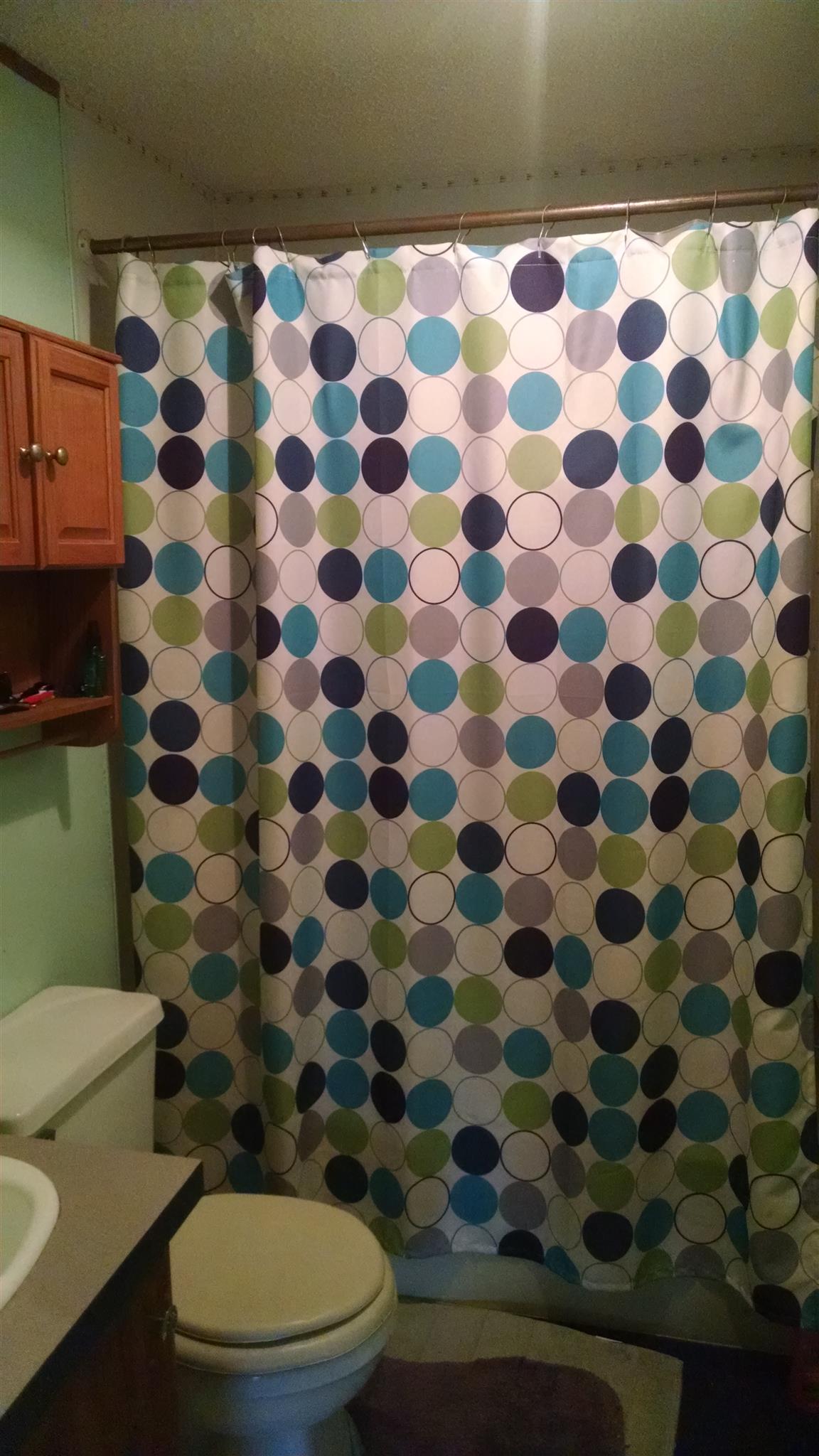 8647 Richards Road Lyles, TN 37098 - Photo 29 of 29 a white toilet sitting next to a shower curtain