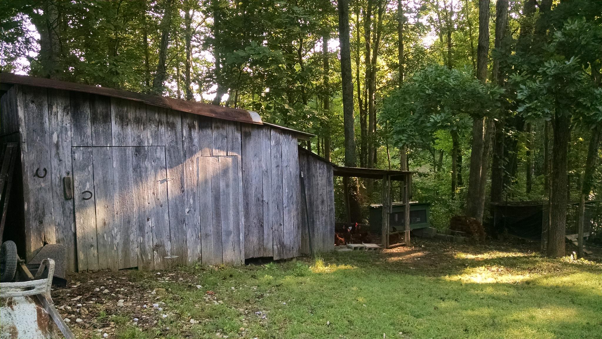 8647 Richards Road Lyles, TN 37098 - Photo 8 of 29 a view of outdoor space and yard