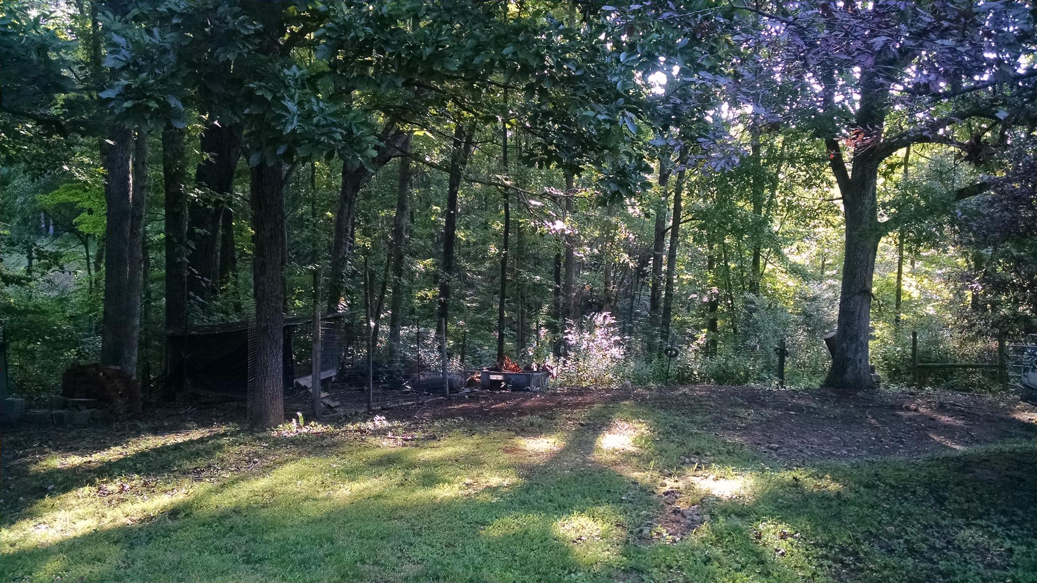 8647 Richards Road Lyles, TN 37098 - Photo 9 of 29 a view of outdoor space with trees