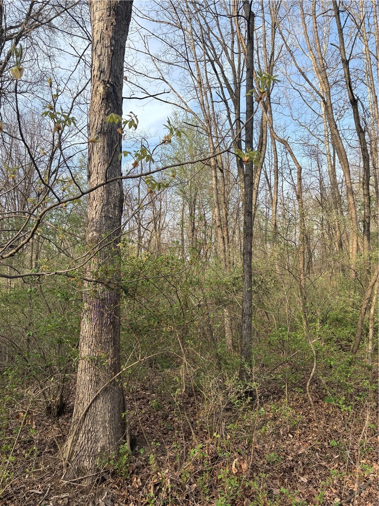 Applegate Road Bridgeport, IL 62417 - Photo 5 of 17