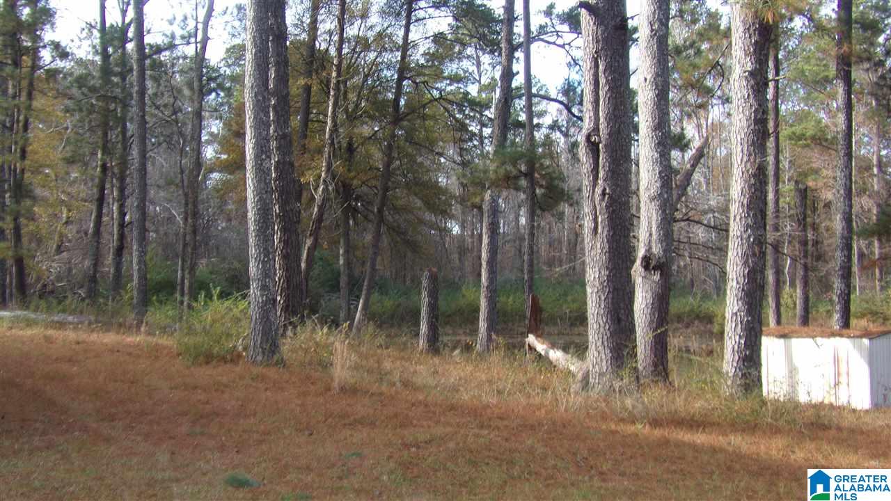 4014 Nixon Road Bessemer, AL 35022 - Photo 6 of 16