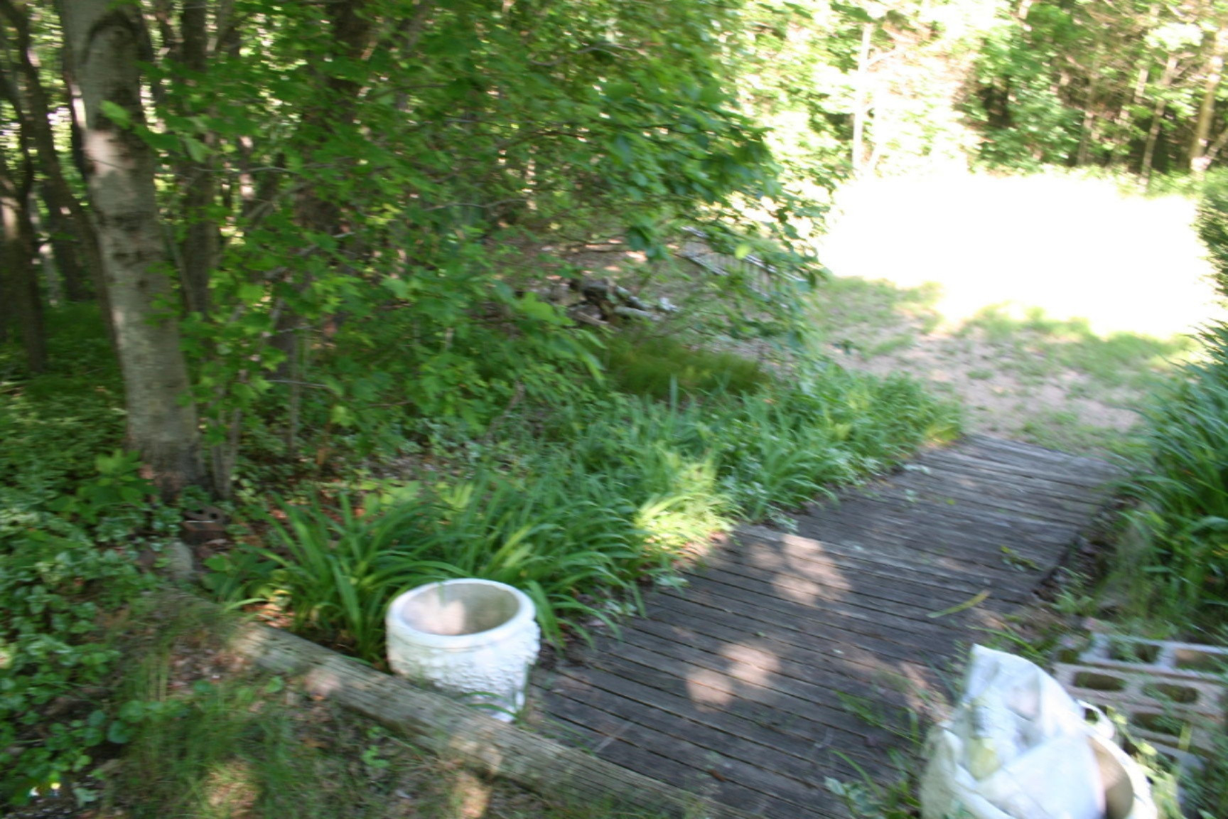 81241 Cr 376 Road Coloma, MI 49038 - Photo 21 of 22 IMG_5845