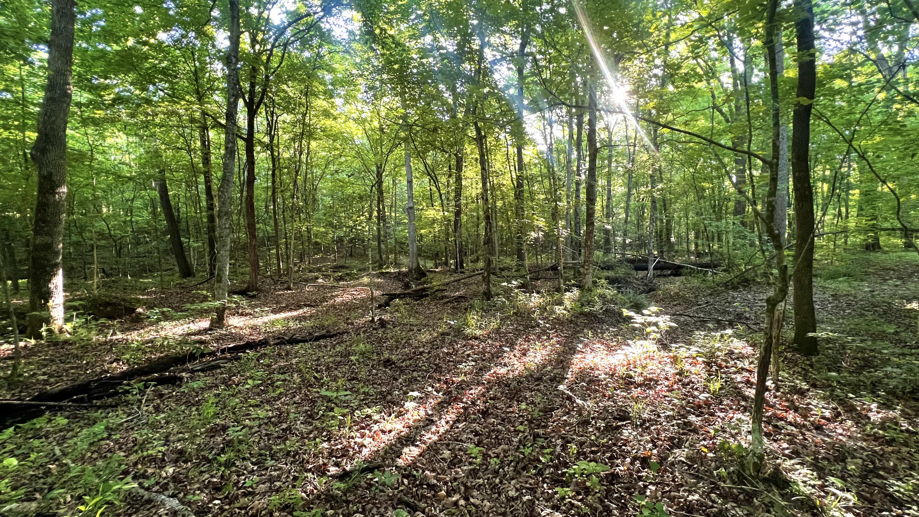 7 7 Mile Ridge Road Indian Mound, TN 37079 - Photo 20 of 24 Photo May 08 2026, 7 32 00 AM