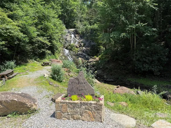 a view of a lot of plants and trees