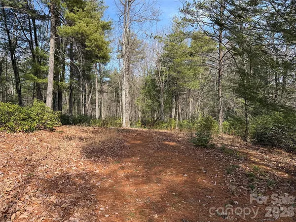 a view of yard with green space