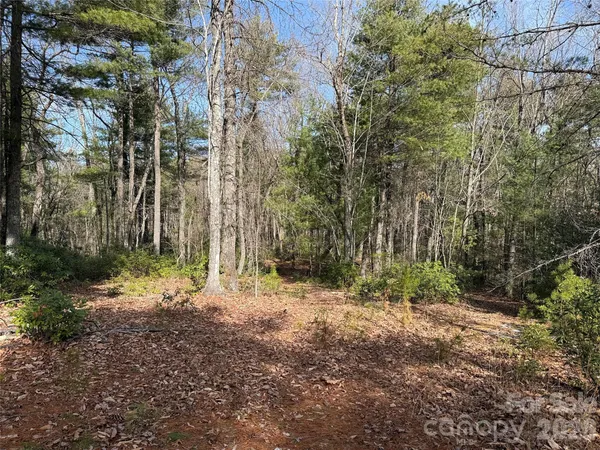 a view of outdoor space and tree