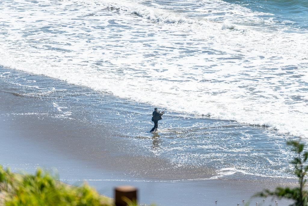 101 Lilly Way La Selva Beach, CA 95076 - Photo 51 of 57