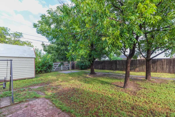a view of a backyard with a tree