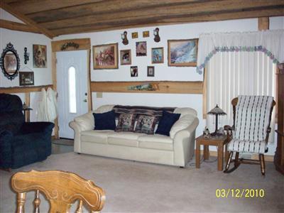 10098 South Wright Street Reed City, MI 49677 - Photo 5 of 11 Additional Photo