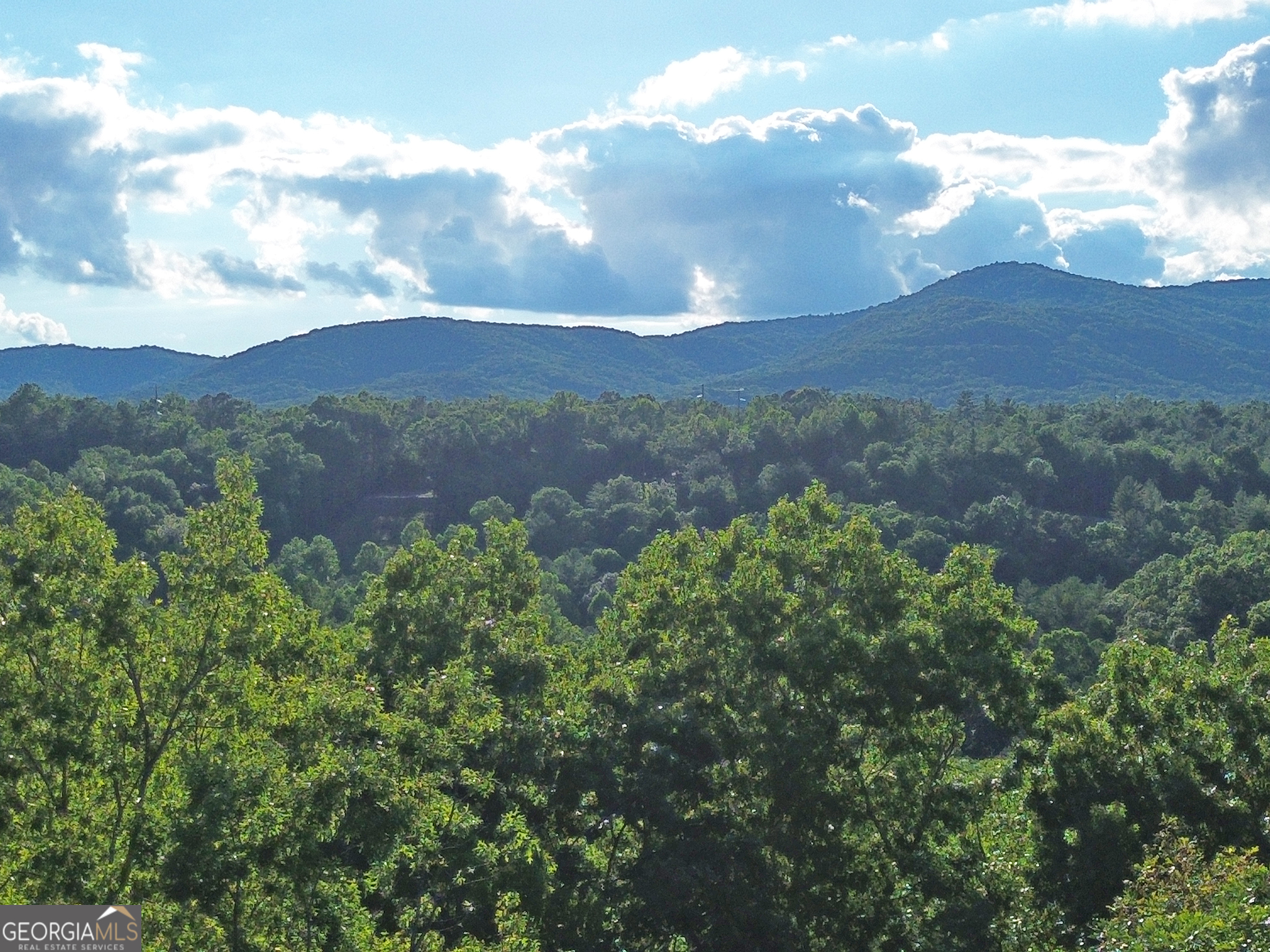 Lot 18 Mt Springer Road Ellijay, GA 30540 - Photo 17 of 31