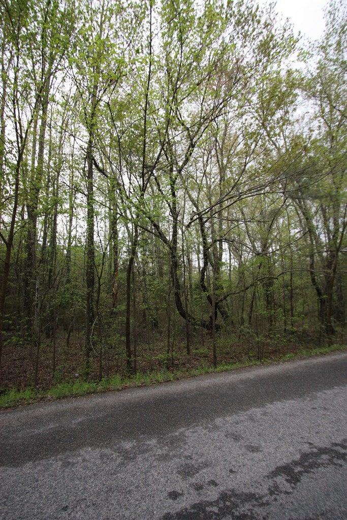 Jennings Road Cartersville, VA 23027 - Photo 7 of 12 Gallery Image 7