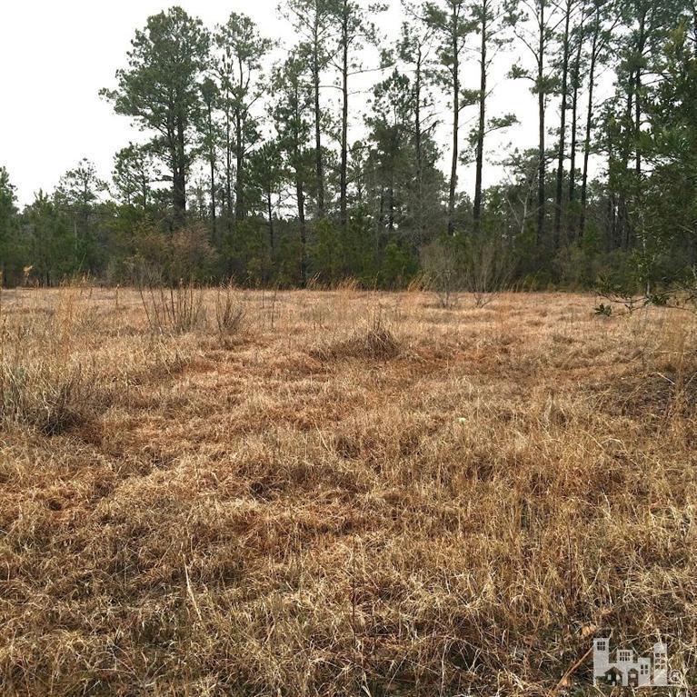 290 Lanvale Road Leland, NC 28451 - Photo 1 of 8 Primary Photo