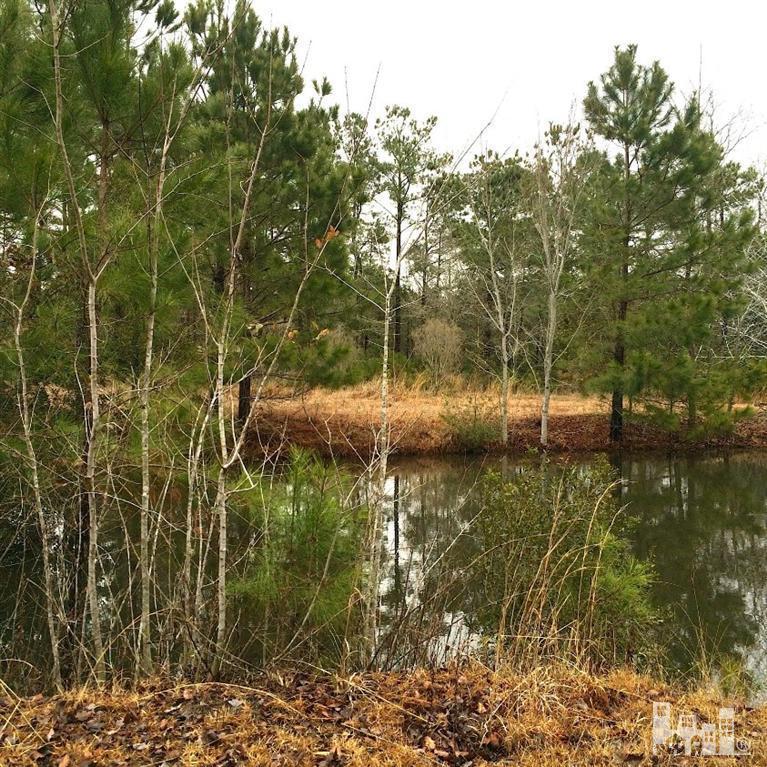 290 Lanvale Road Leland, NC 28451 - Photo 2 of 8 Additional Photo
