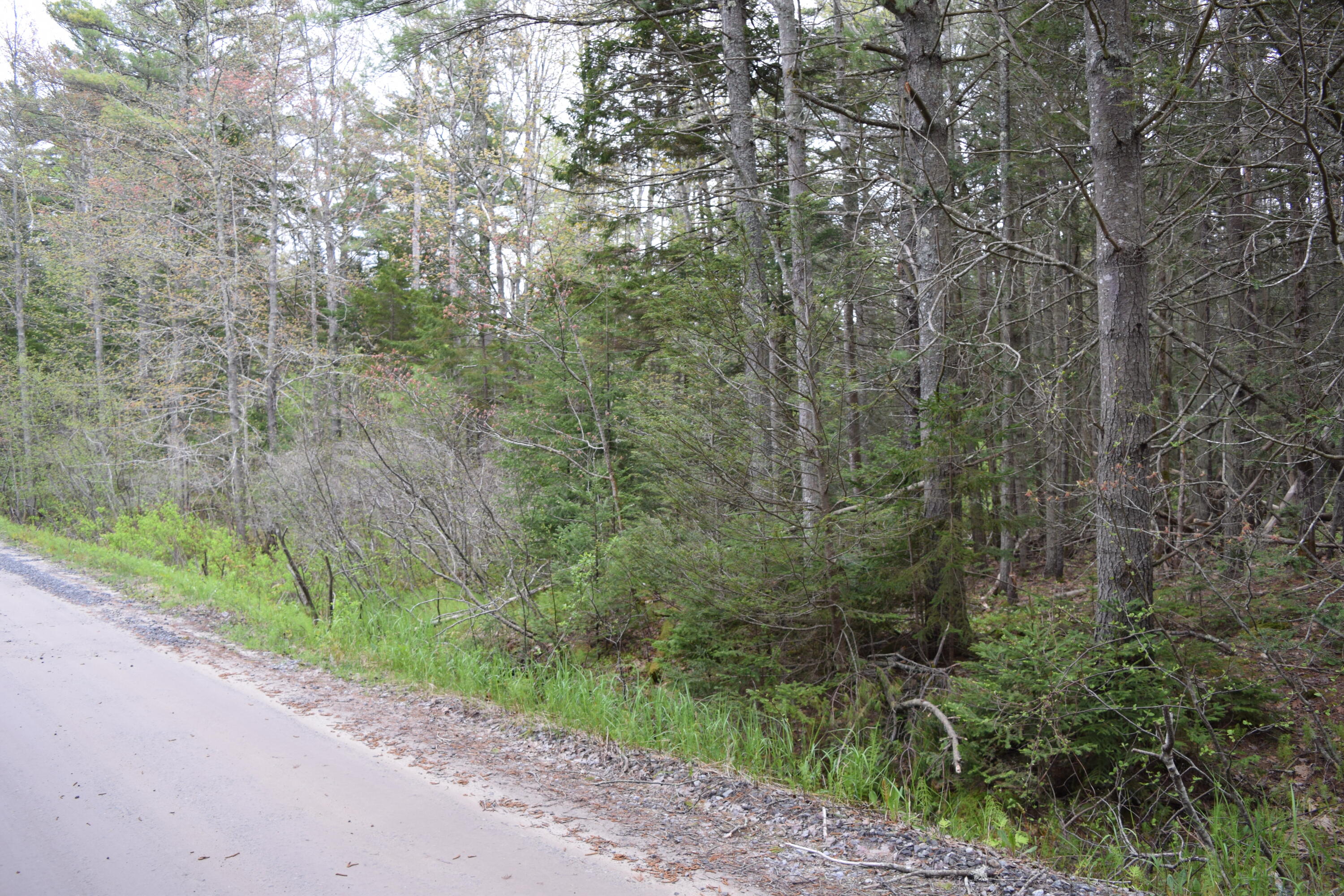 Lot 98 Brickyard Cove Road Harpswell, ME 04079 - Photo 15 of 15 DSC_0732