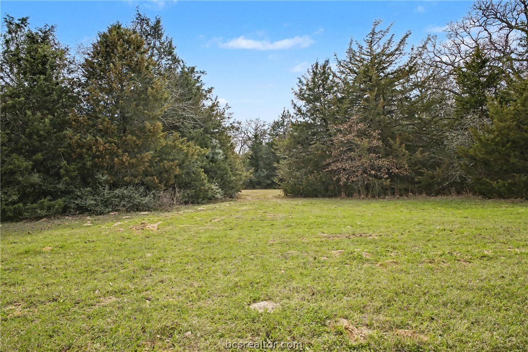Tbd Sawmill Road Franklin, TX 77856 - Photo 3 of 15 a view of a yard
