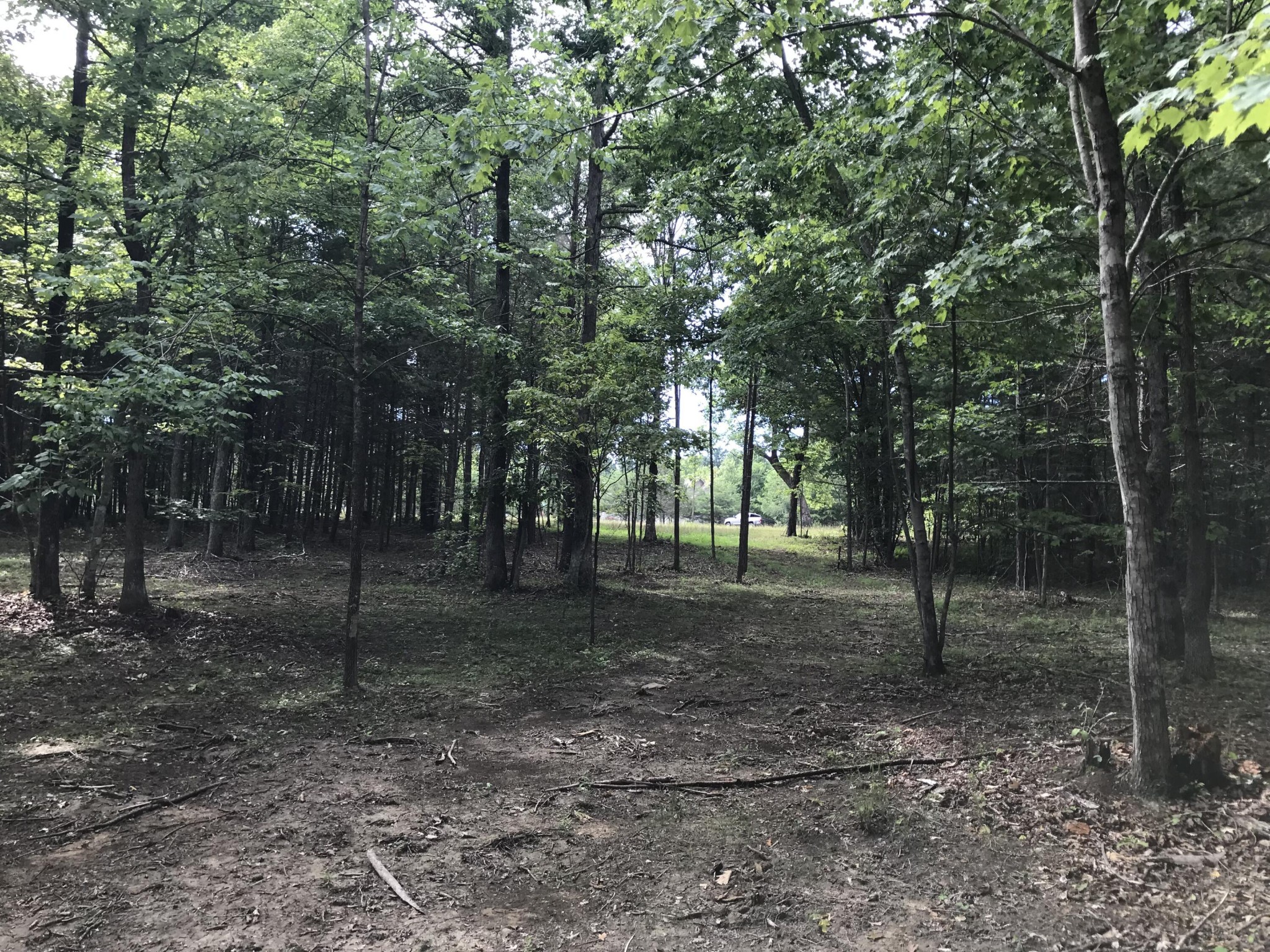 0 Quail Trail Dunlap, TN 37327 - Photo 7 of 36