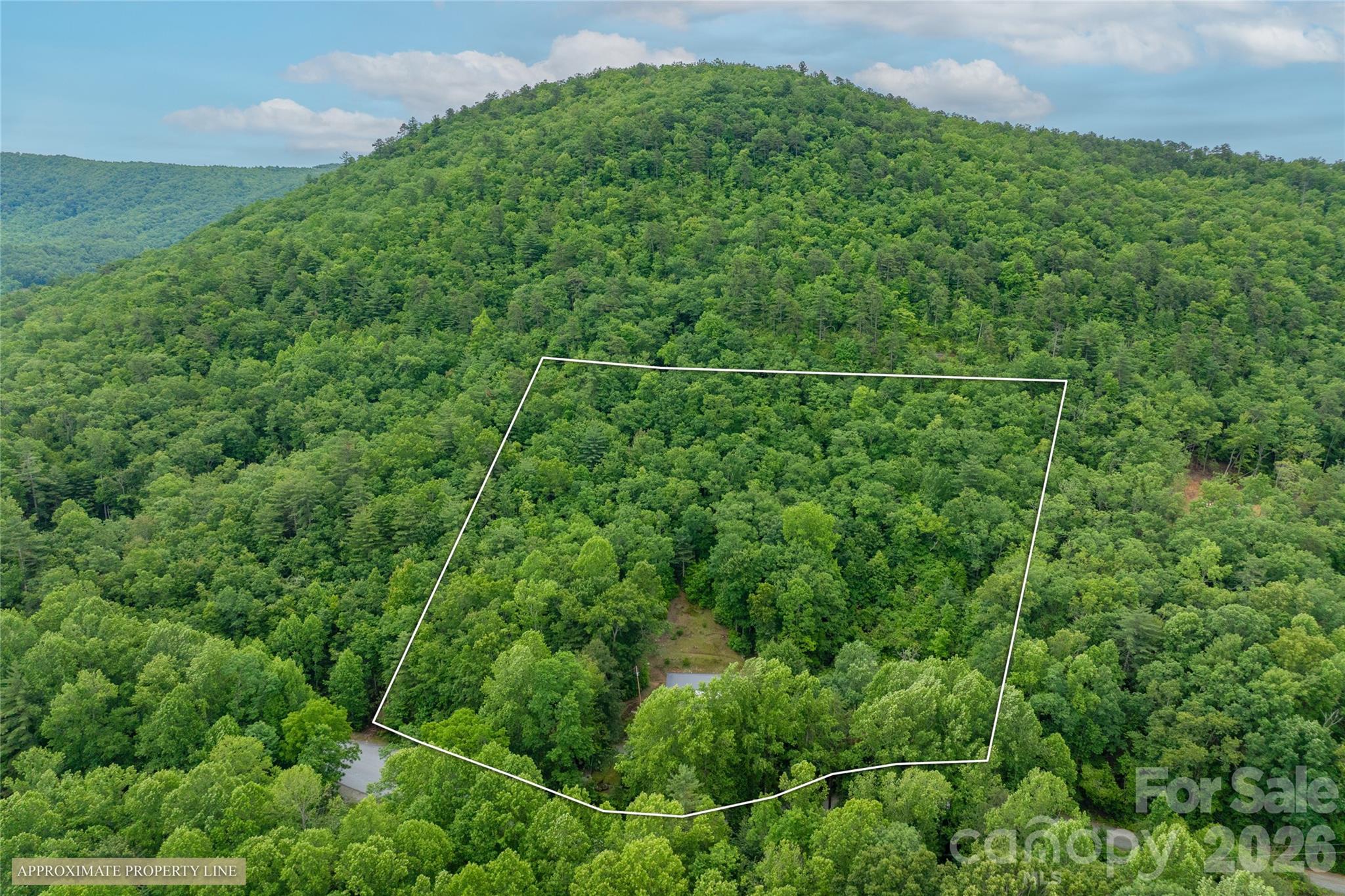 125 Round Mountain Road Brevard, NC 28712 - Photo 34 of 36