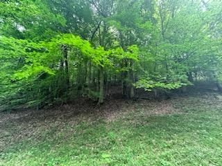 0 Stanton Road Seymour, TN 37865 - Photo 29 of 35 Gallery Image 29