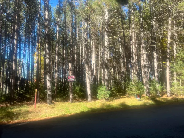 $400,000 | Lot 1 Bonkowski Road, Three Lakes, WI 54562