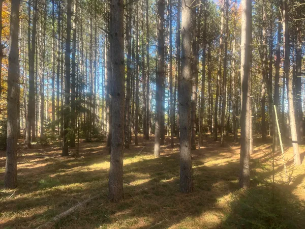 $400,000 | Lot 1 Bonkowski Road, Three Lakes, WI 54562