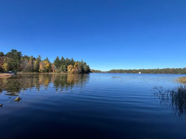 $400,000 | Lot 1 Bonkowski Road, Three Lakes, WI 54562