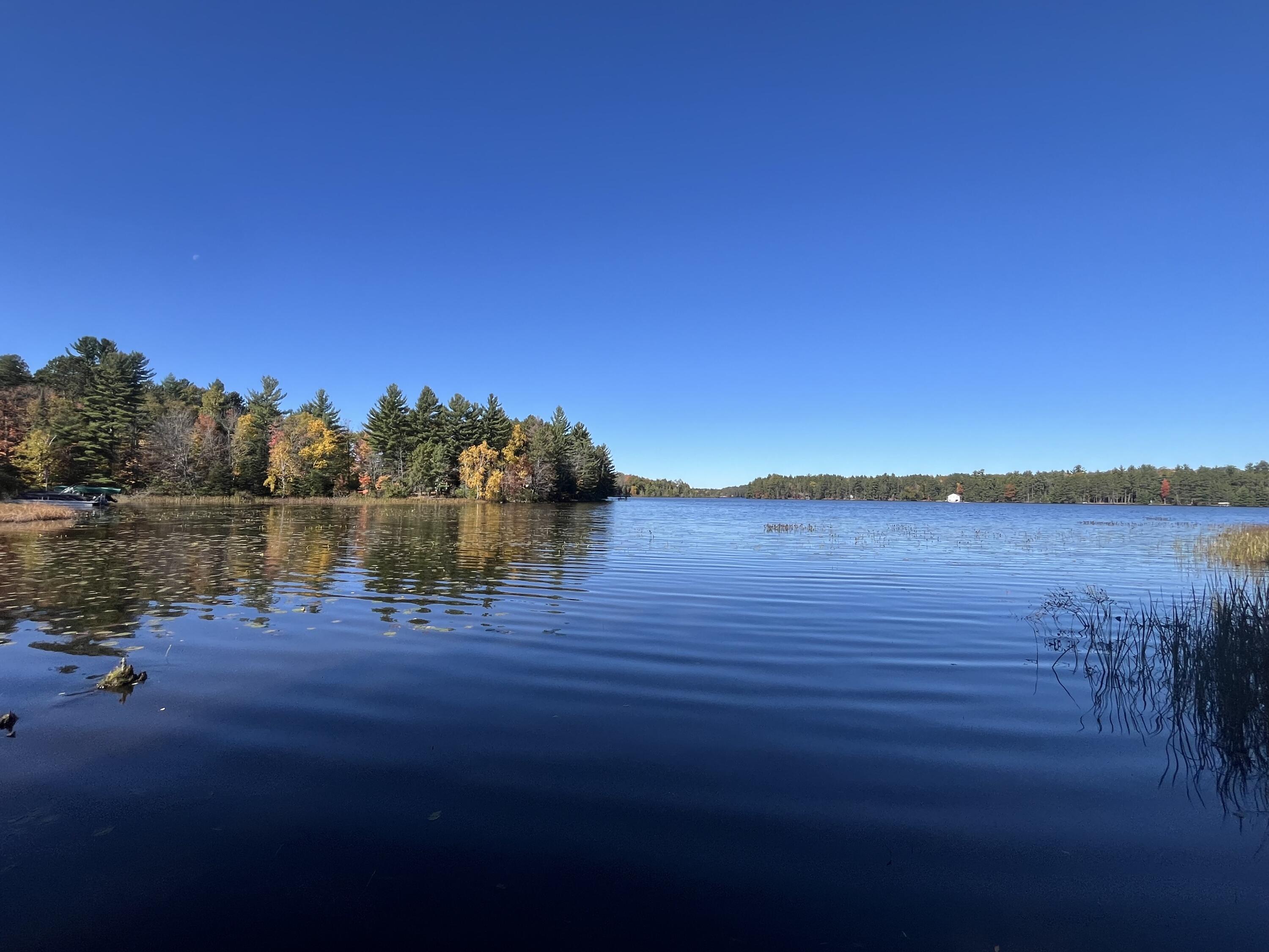 7090 Bonkowski Road Three Lakes, WI 54562 - Photo 4 of 4 IMG_7728