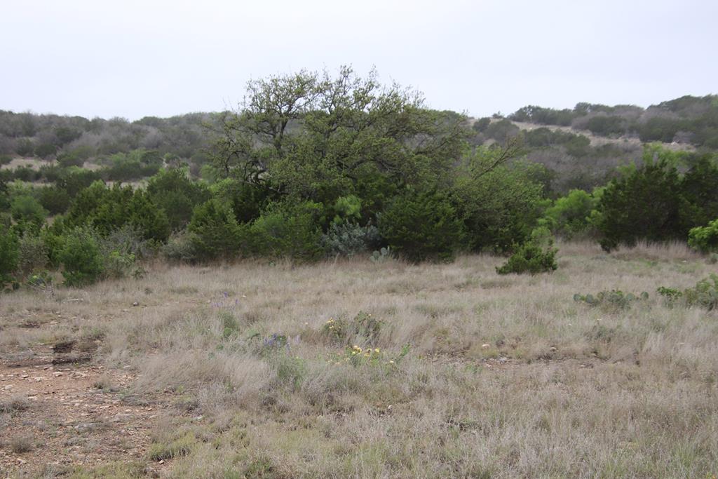 2122 Cr 450 Rocksprings Tx 78880 Rocksprings, TX 78880 - Photo 6 of 9