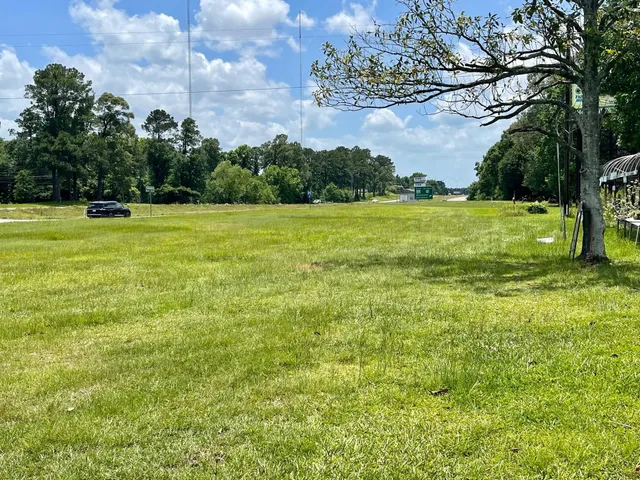 a view of a yard with an trees
